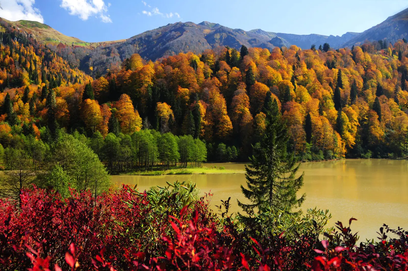 artvin-karagol